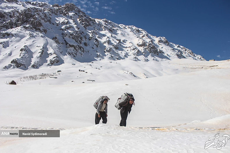 (تصاویر) کولبران کردستان